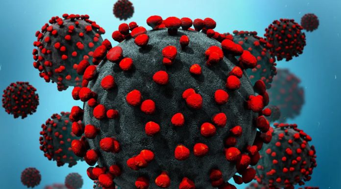 COVID-19 : évolution, symptômes, recommandations, où s’informer? COVID-19 : évolution, symptômes, recommandations, où s’informer?