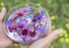 L’importance d’un processus de fabrication neutre essences florales