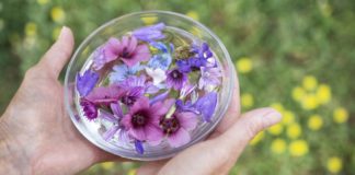 L’importance d’un processus de fabrication neutre essences florales