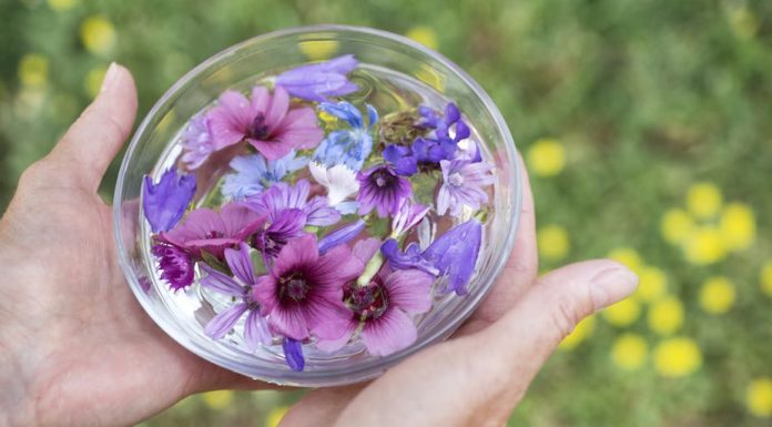 L’importance d’un processus de fabrication neutre essences florales