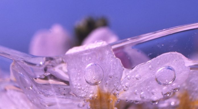 Garantir la qualité énergétique grâce à des emballages novateurs Odinelixir