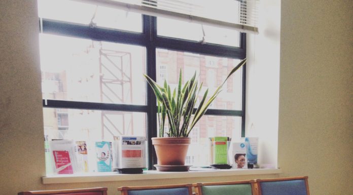 Colocation de cabinet: comment en faire une force? the-waiting-room