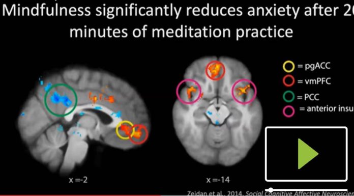 Le bien-être issu d’une conscience élargie neuroscience-of-meditation