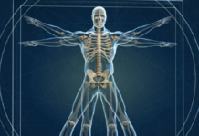 Relancer les 6 voies de détoxination du corps