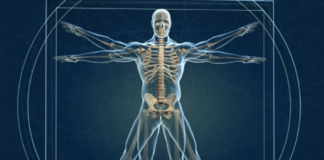 Relancer les 6 voies de détoxination du corps