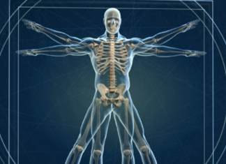 Relancer les 6 voies de détoxination du corps