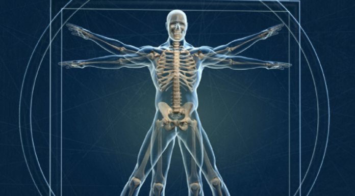 Relancer les 6 voies de détoxination du corps