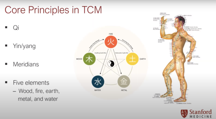 Douleur chronique, quelles solutions des tradimédecines? Douleur chronique