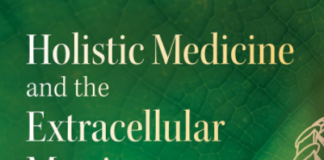 La puissance et l’intelligence de l’extracellulaire