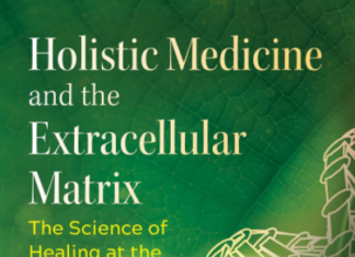 La puissance et l’intelligence de l’extracellulaire