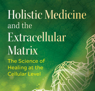 La puissance et l’intelligence de l’extracellulaire