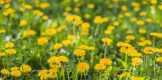 En pleine forme pour le retour du printemps